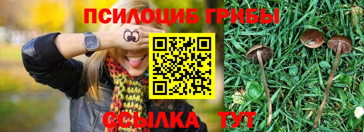 Галлюциногенные грибы Psilocybine cubensis  купить закладку  Владикавказ  Вход с VPN 